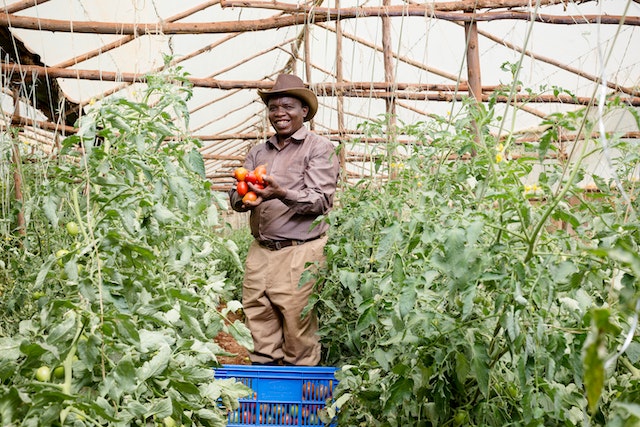 smallholder farmer